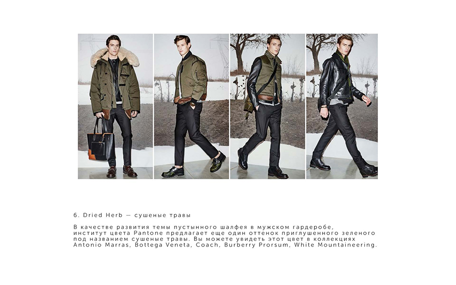 Тренды Осень-Зима 2017-18